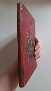 Jules Verne: Tajemný hrad v Karpatech
