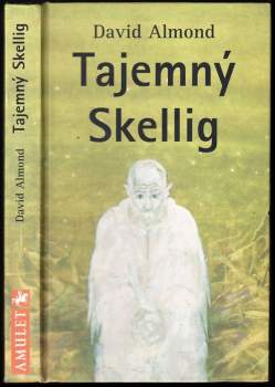 David Almond: Tajemný Skellig