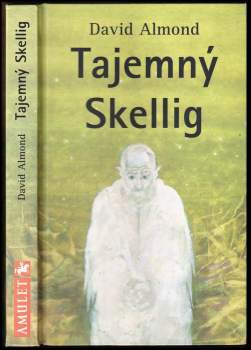 Tajemný Skellig