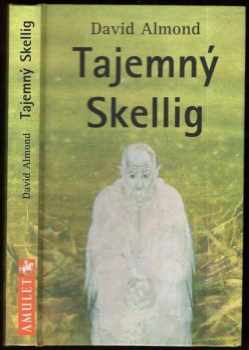 Tajemný Skellig