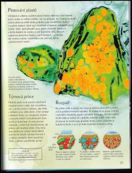 Laura Howell: Tajemství a zázraky světa kolem nás