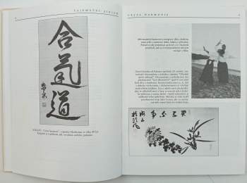 John Stevens: Tajemství aikido