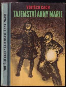 Tajemství Anny Marie