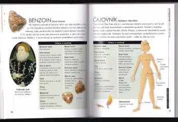 Jennie Harding: Tajemství aromaterapie