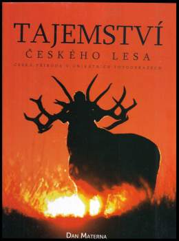 Dan Materna: Tajemství českého lesa