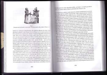 Jana Heffernanová: Tajemství dvou partnerů