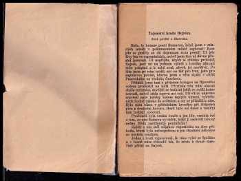Jan Voborník: Tajemství hradu Bajreka