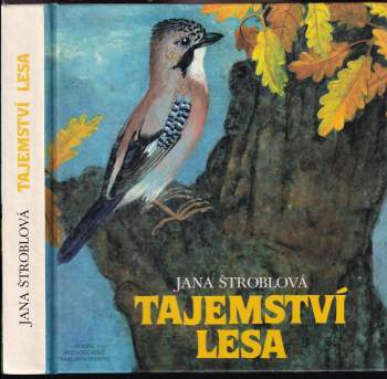 Tajemství lesa