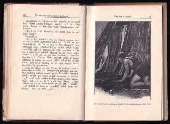 Hildegarde Hawthorne: Tajemství navajského kaňonu - ILUSTRACE ZDENĚK BURIAN