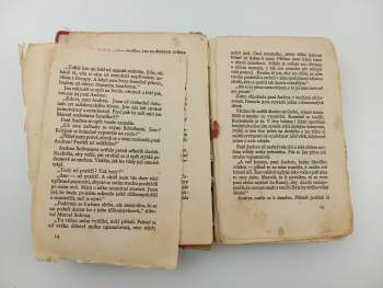 Hedwig Courths-Mahler: Tajemství otců