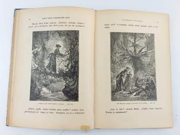 Jules Verne: Tajemství pralesa