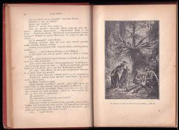 Jules Verne: Tajemství pralesa