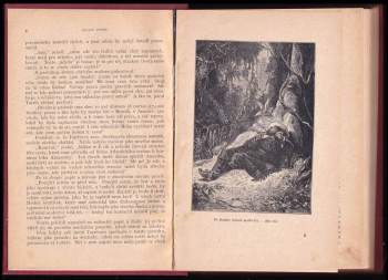 Jules Verne: Tajemství pralesa