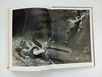 Jules Verne: Tajemství pralesa