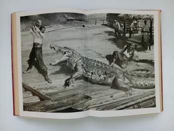 Jules Verne: Tajemství pralesa