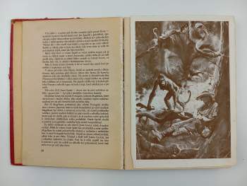 Jules Verne: Tajemství pralesa