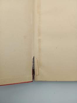 Jules Verne: Tajemství pralesa