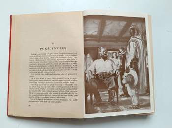 Jules Verne: Tajemství pralesa