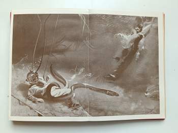 Jules Verne: Tajemství pralesa
