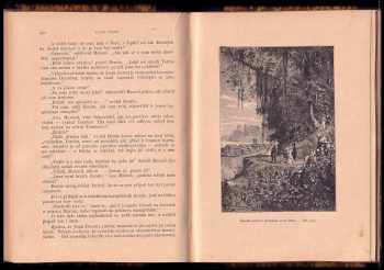 Jules Verne: Tajemství pralesa