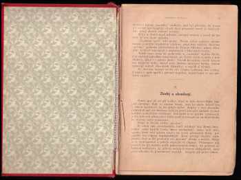 Jules Verne: Tajemství pralesa