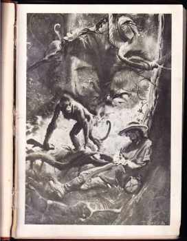 Jules Verne: Tajemství pralesa