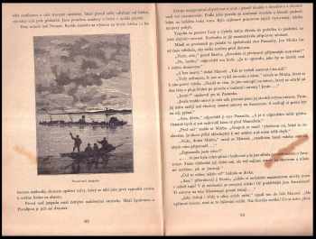 Jules Verne: Tajemství pralesa