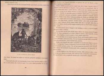 Jules Verne: Tajemství pralesa