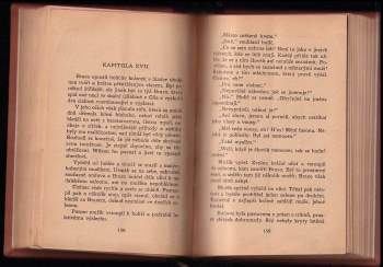 Charles Alden Seltzer: Tajemství pustiny