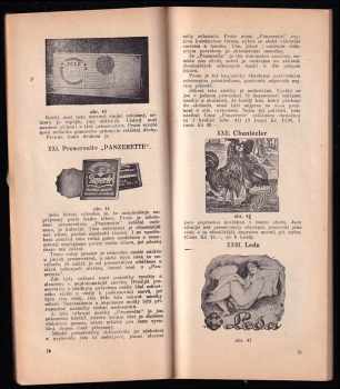 J Vysocký: Tajemství rozkoše lásky