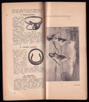 J Vysocký: Tajemství rozkoše lásky