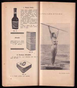 J Vysocký: Tajemství rozkoše lásky