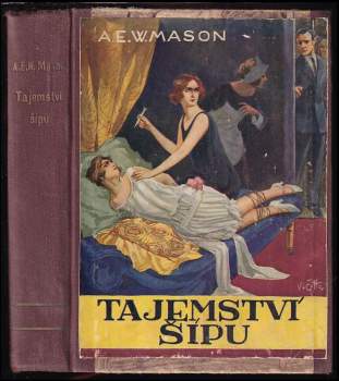 Tajemství šípu : román