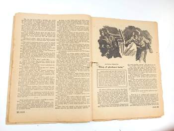 Michael Bernard: Tajemství stříbrné skály, Rozruch 154, ročník III., č. 49.