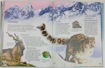 Mike Unwin: Tajemství světa zvířat