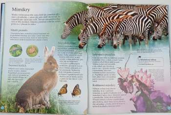 Mike Unwin: Tajemství světa zvířat