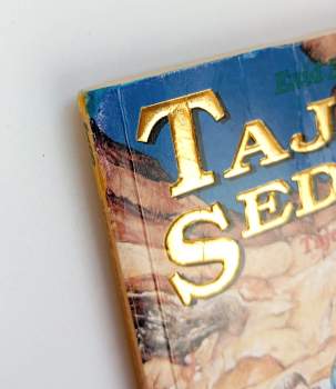 Enid Blyton: Tajná sedma