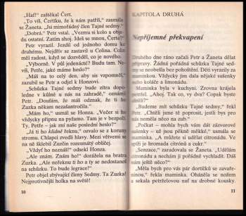 Enid Blyton: Tajná sedma