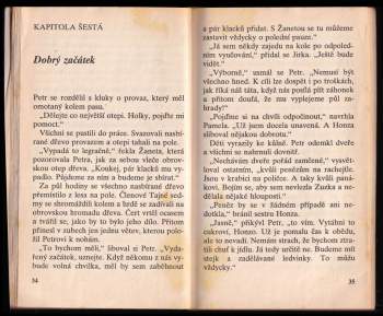 Enid Blyton: Tajná sedma