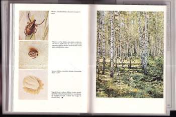 Alois Bejblík: Život a smrt renesančního kavalíra