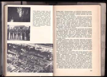 David John Cawdell Irving: Tajné zbraně