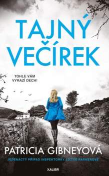 Patricia Gibney: Tajný večírek