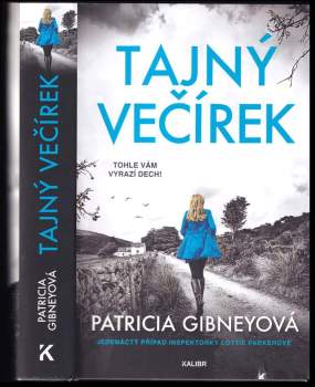 Patricia Gibney: Tajný večírek