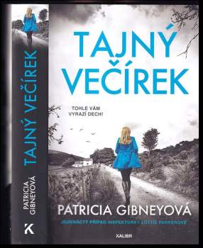 Patricia Gibney: Tajný večírek