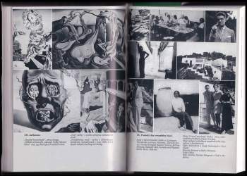 Salvador Dalí: Tajný život Salvadora Dalího