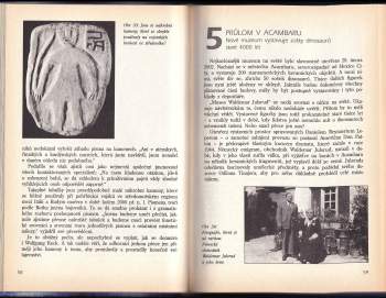 Luc Bürgin: Tajuplná archeologie