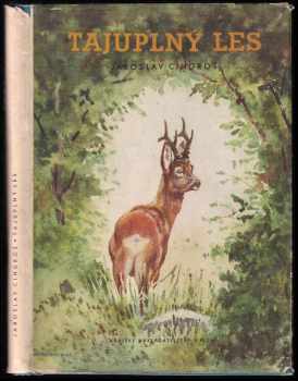 Tajuplný les