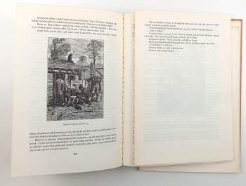 Jules Verne: Tajuplný ostrov