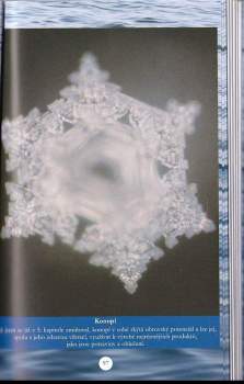 Masaru Emoto: Tajuplný život vody
