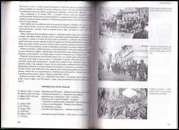 Emil Trojan: Tak přísahali-